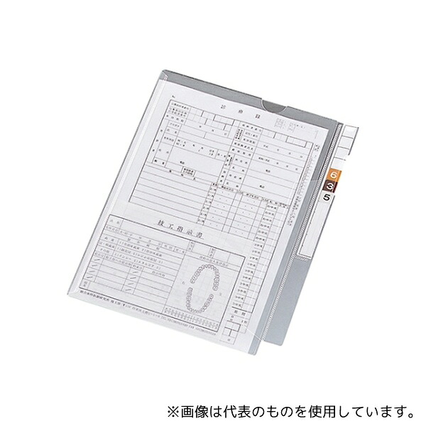 LIHITLAB HK2001 カルテフォルダー(フラップ付)シングル＜縦型＞ 1箱(100枚入)