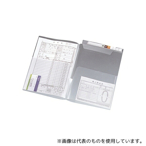 緑であること活動の領域