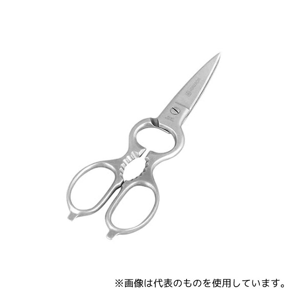 緑であること活動の領域