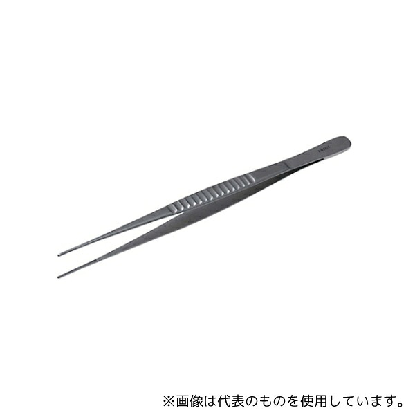 緑であること活動の領域