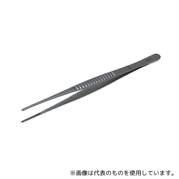緑であること活動の領域