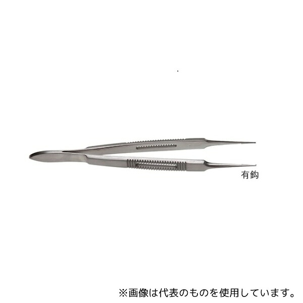 緑であること活動の領域