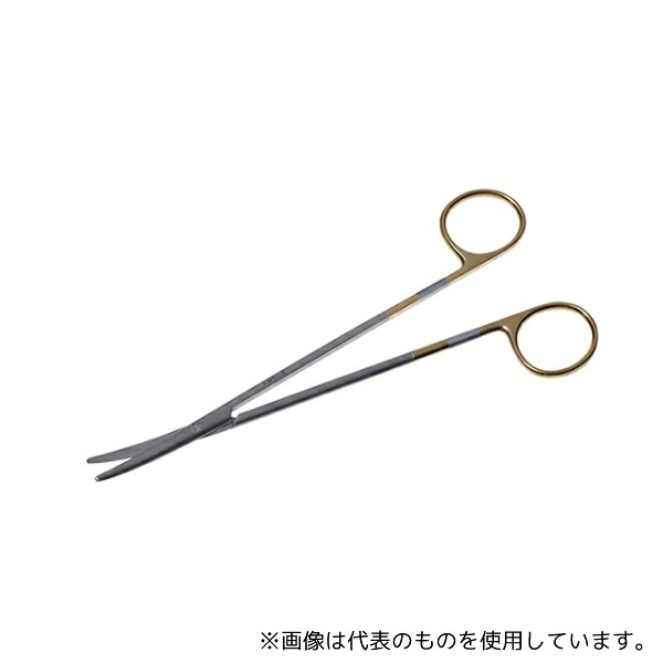 緑であること活動の領域