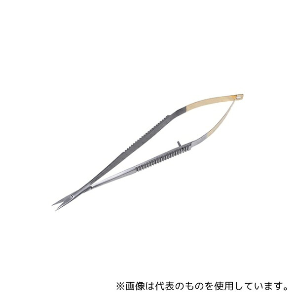 緑であること活動の領域