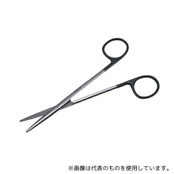 緑であること活動の領域
