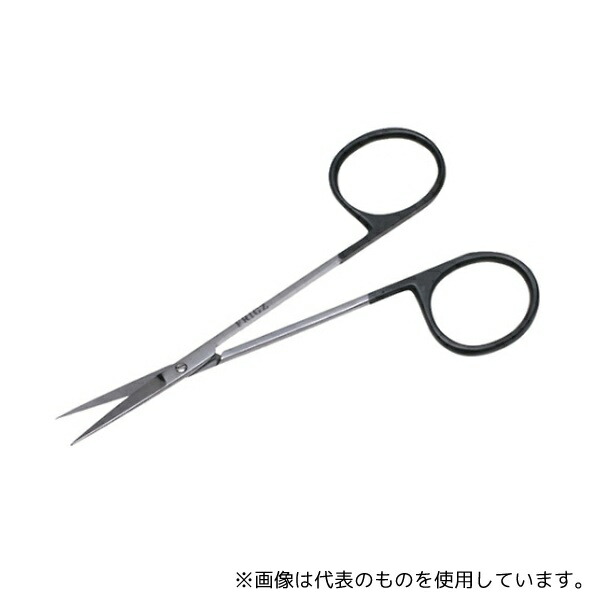 緑であること活動の領域
