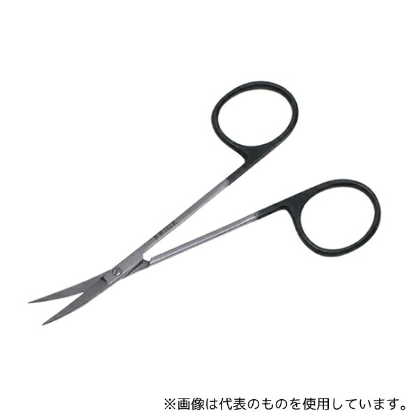 緑であること活動の領域