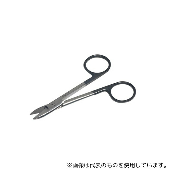 緑であること活動の領域