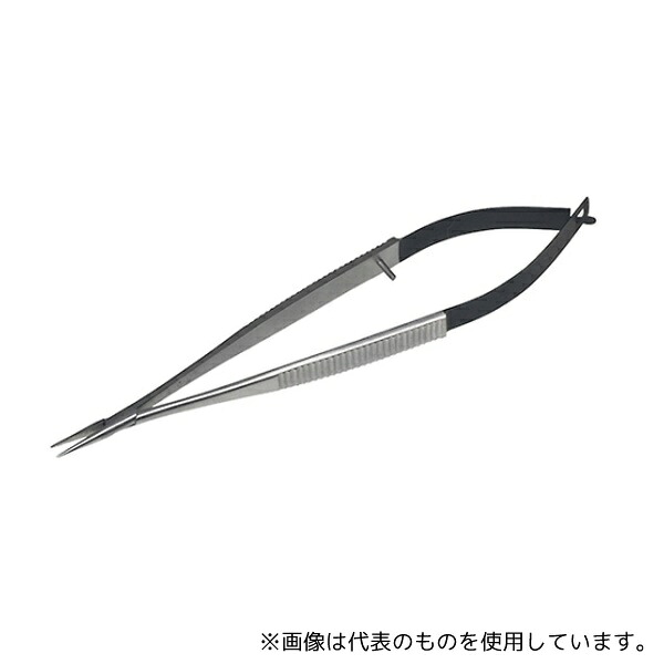 緑であること活動の領域