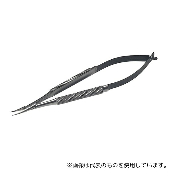 緑であること活動の領域