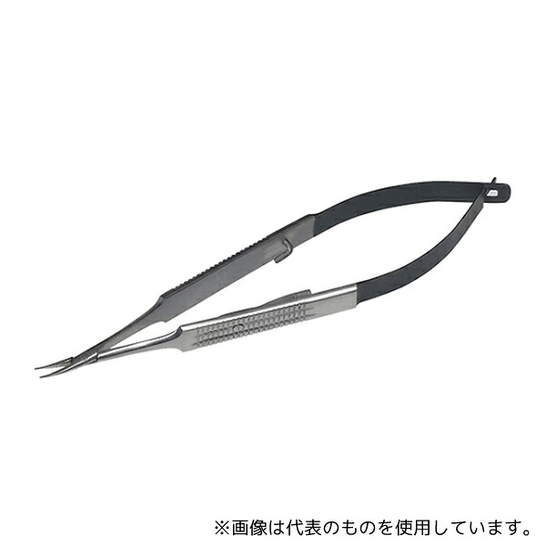 緑であること活動の領域