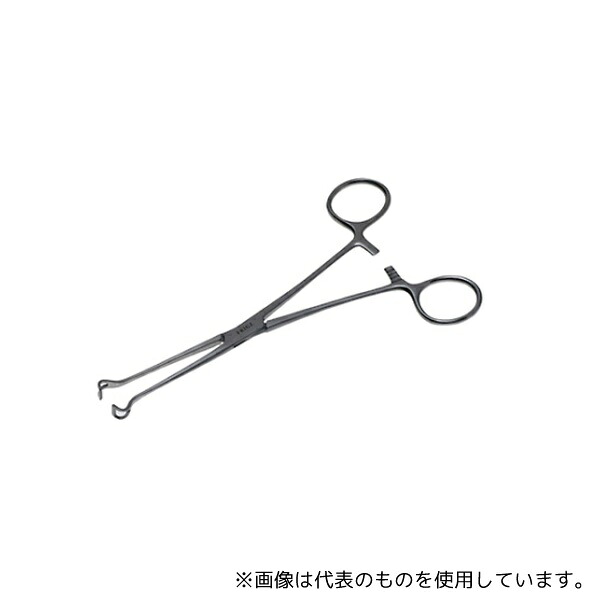 緑であること活動の領域