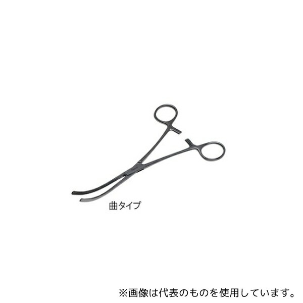 緑であること活動の領域