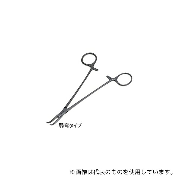 緑であること活動の領域