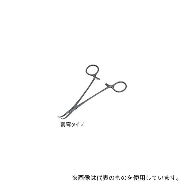 緑であること活動の領域