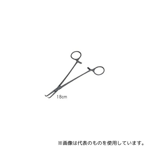 緑であること活動の領域 その他-医薬品・コンタクト・介護