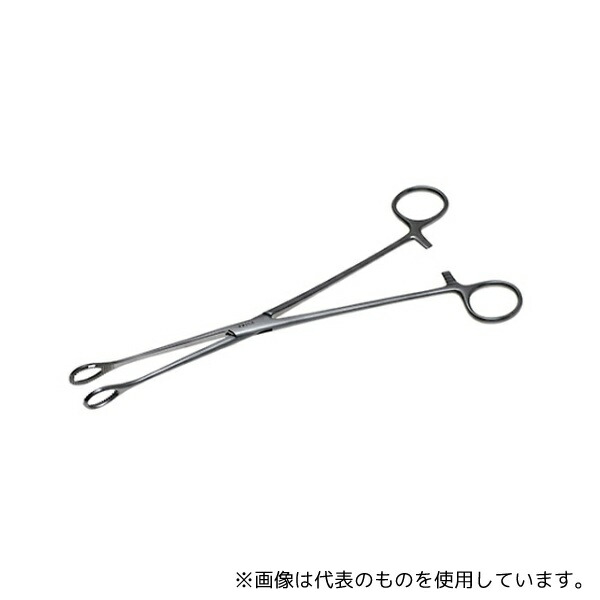 緑であること活動の領域