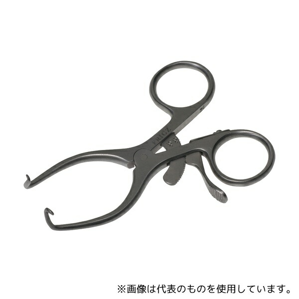 緑であること活動の領域