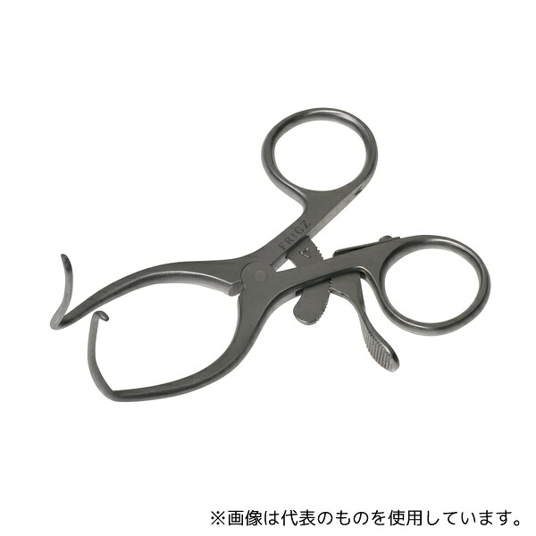 緑であること活動の領域