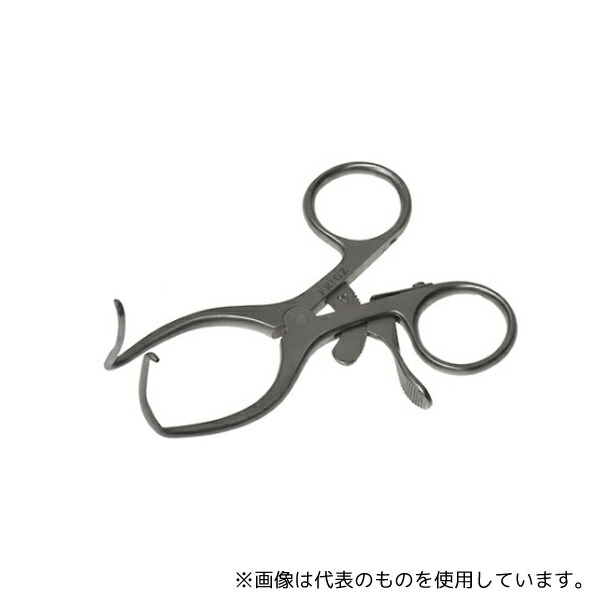 緑であること活動の領域