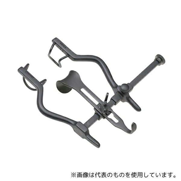 緑であること活動の領域
