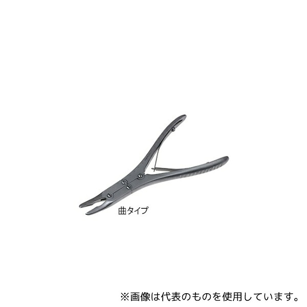 緑であること活動の領域