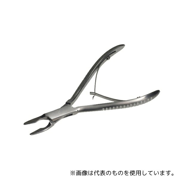 緑であること活動の領域