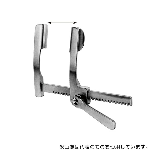 緑であること活動の領域
