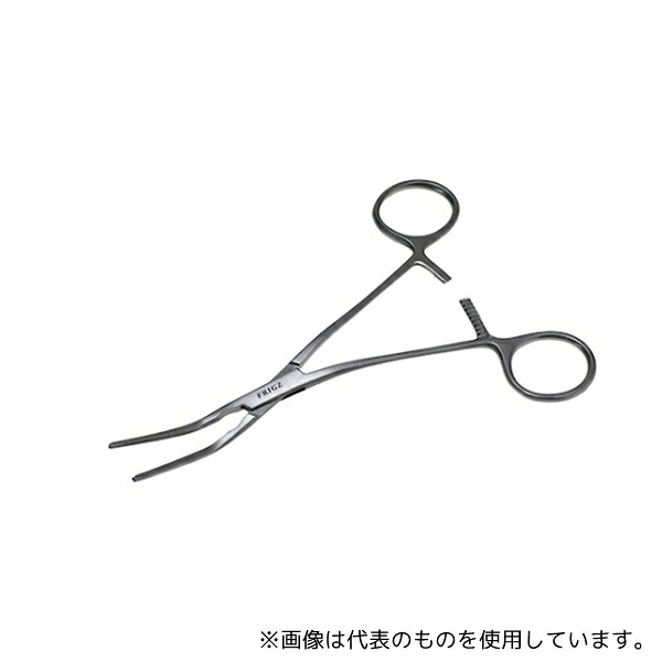 緑であること活動の領域