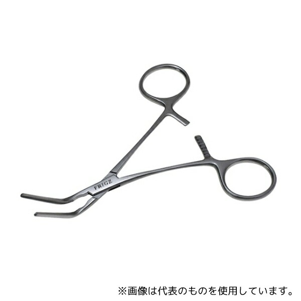 緑であること活動の領域