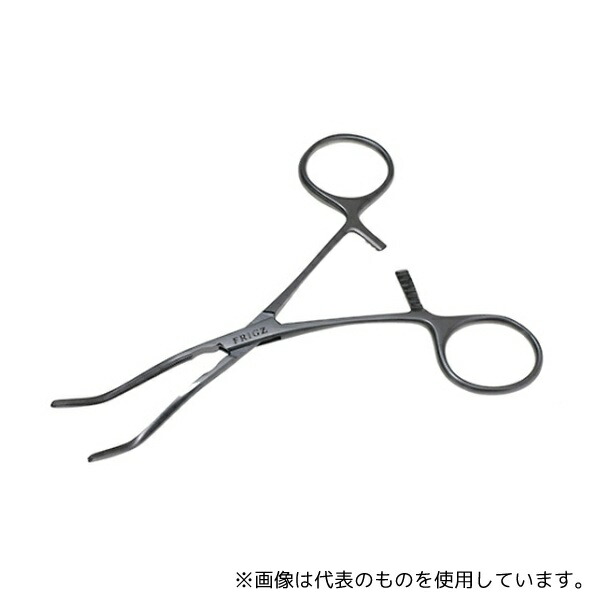 緑であること活動の領域