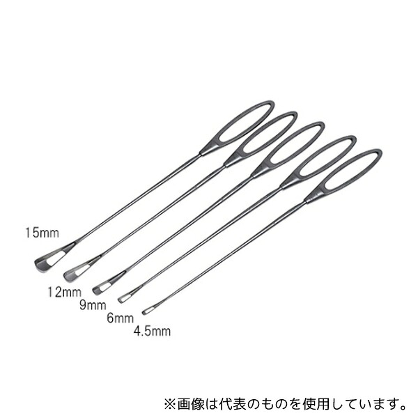 緑であること活動の領域