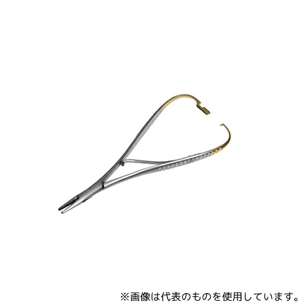 緑であること活動の領域