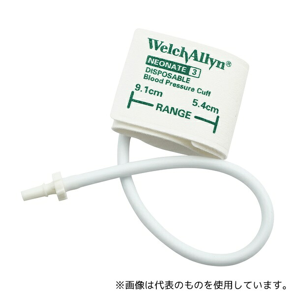 緑であること活動の領域