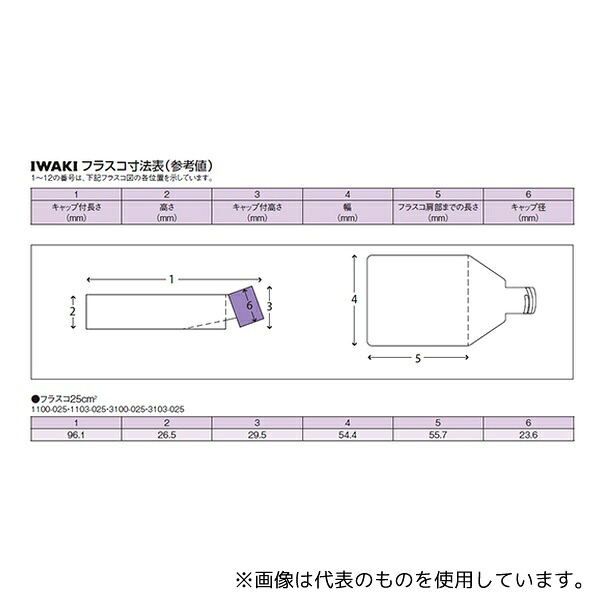 緑であること活動の領域