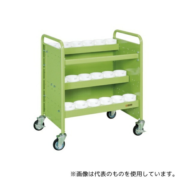 緑であること活動の領域