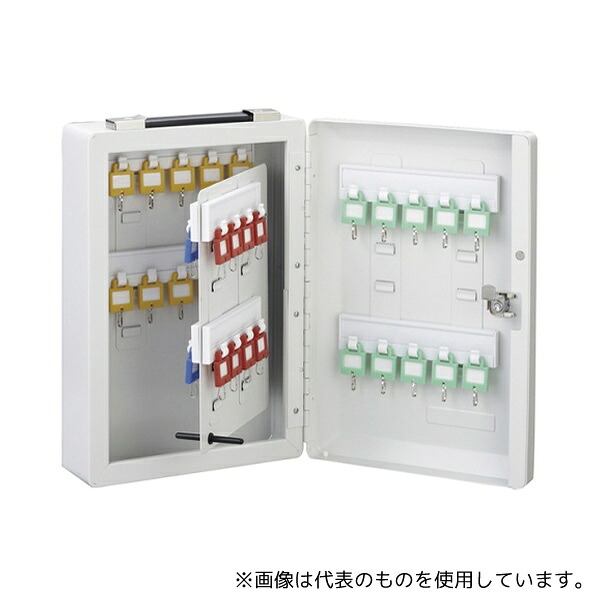 緑であること活動の領域