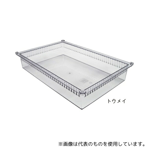 緑であること活動の領域