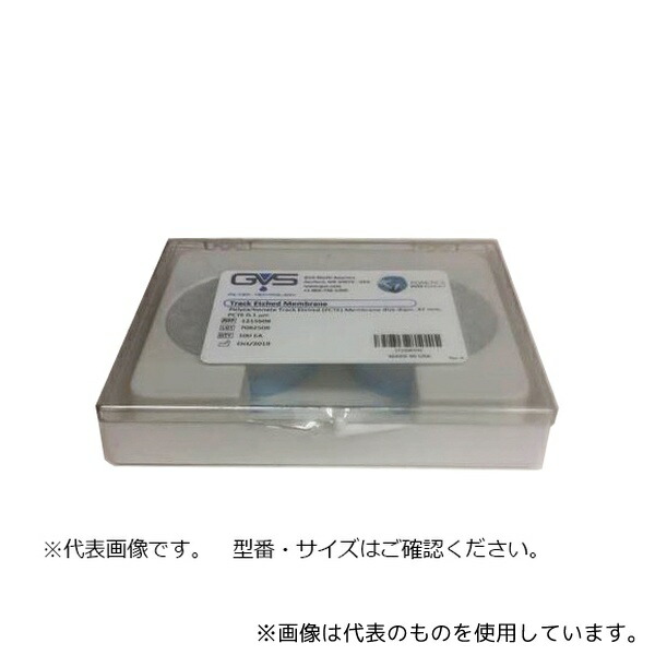 緑であること活動の領域