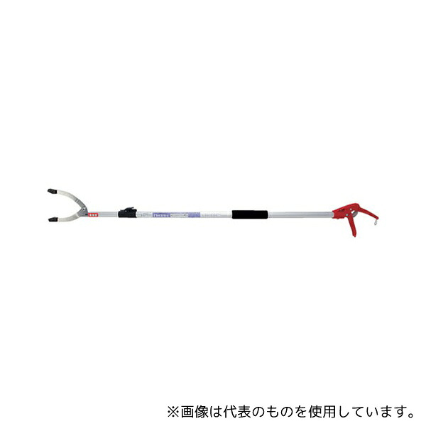 緑であること活動の領域
