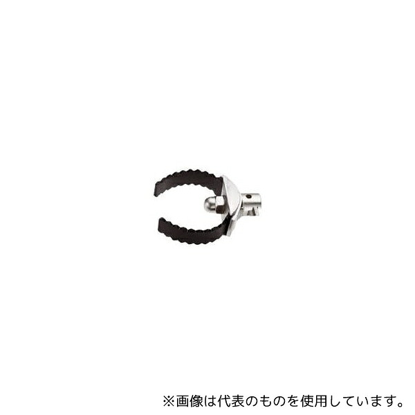 緑であること活動の領域