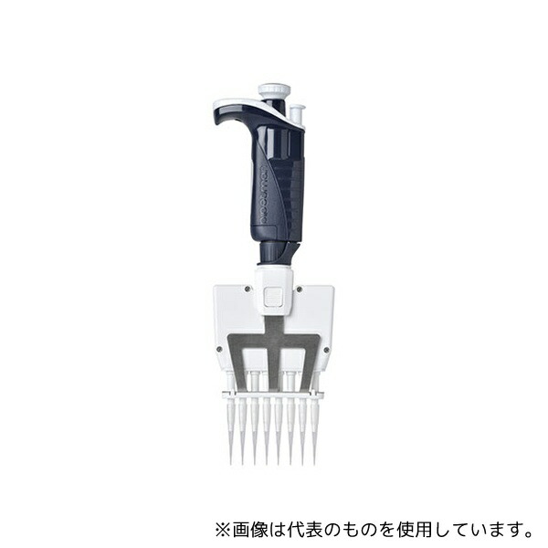 緑であること活動の領域