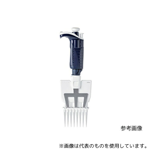緑であること活動の領域