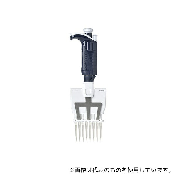 緑であること活動の領域