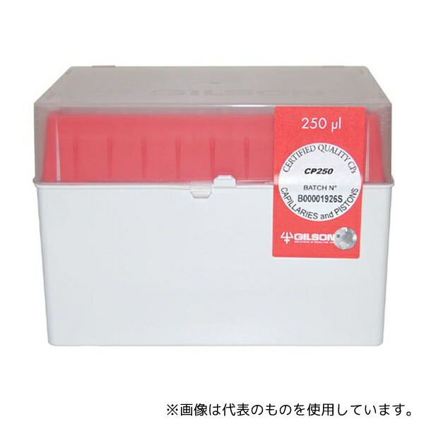 緑であること活動の領域