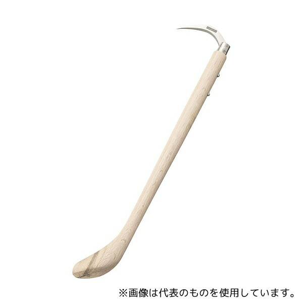 緑であること活動の領域
