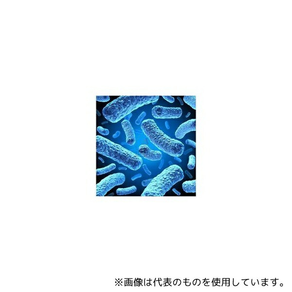 緑であること活動の領域