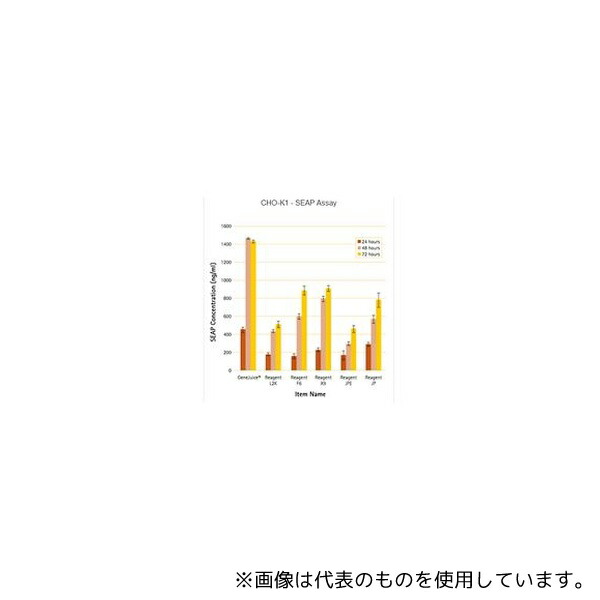 緑であること活動の領域