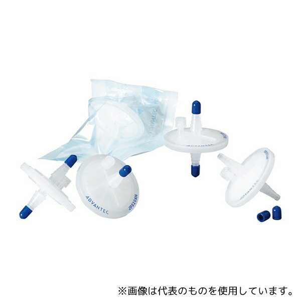 緑であること活動の領域
