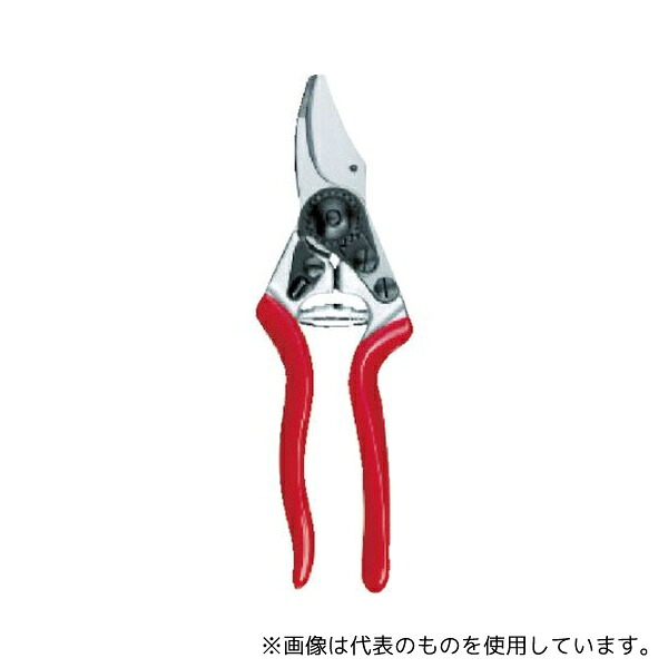 緑であること活動の領域